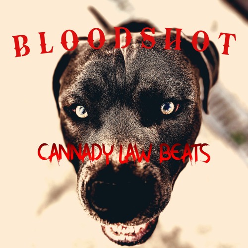 Rap x Hip Hop Typebeat - [BLOODSHOT] 140 BPM  C MINOR