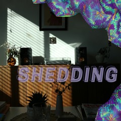 shedding - dnb & jungle