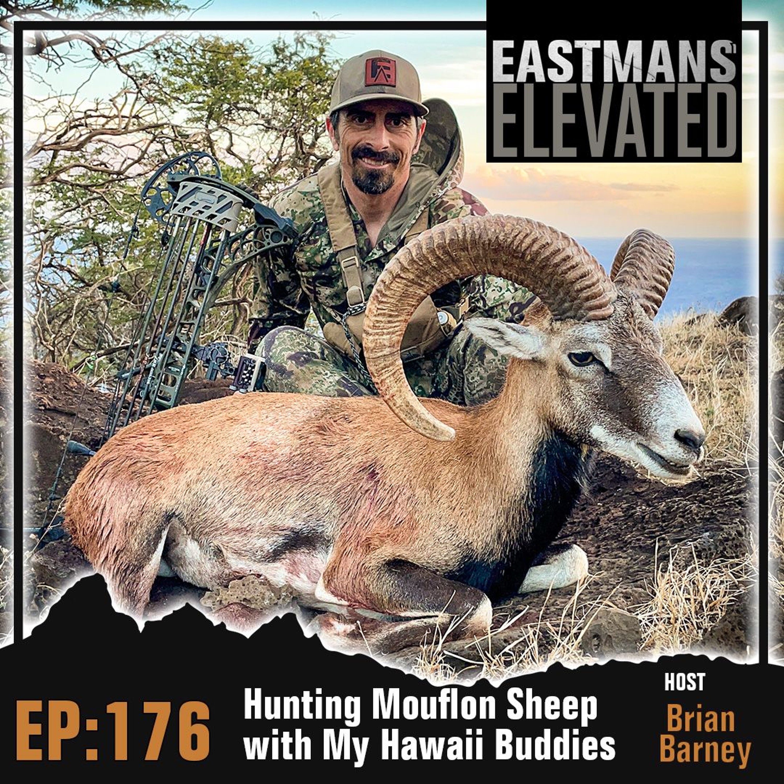 Eastmans\' Elevated
