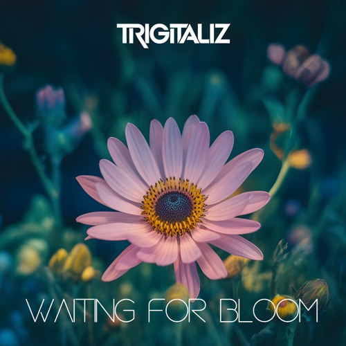 Waiting for bloom