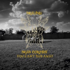 HDC - YOU CAN'T RUN AWAY