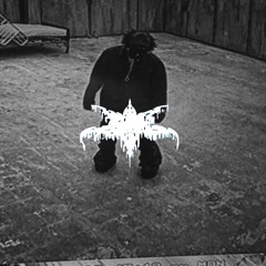 lucille - defiled, revry (diss)