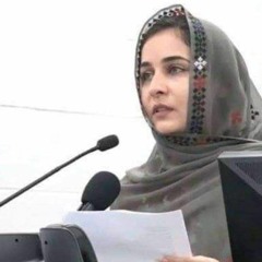 Ne Banuk Ne Godhi (Shaheed Banuk Karima baloch)💔.mp3