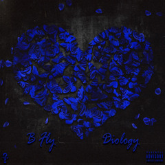 Diology- B Fly