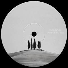 PremEar: Douwe - What To Do [BANDCAMP]