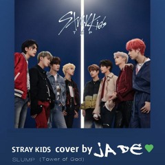 STRAY KİDS - SLUMP cover by JADE.mp3