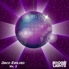 Disco Evolved Vol. 2