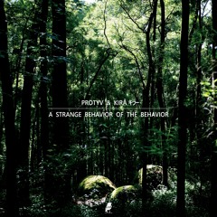 Protyv, kirā キラー - Courage [B.I.R.D. Labeling]