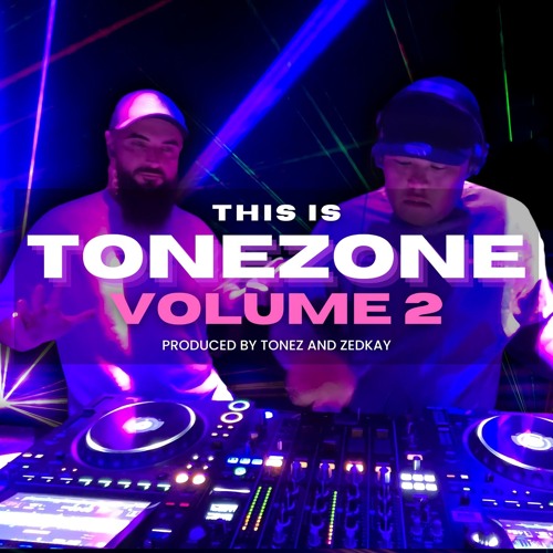 THIS IS TONEZONE VOL.2
