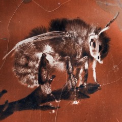 With Another Now (Tzii Remix) [feat. Catherine Danger]