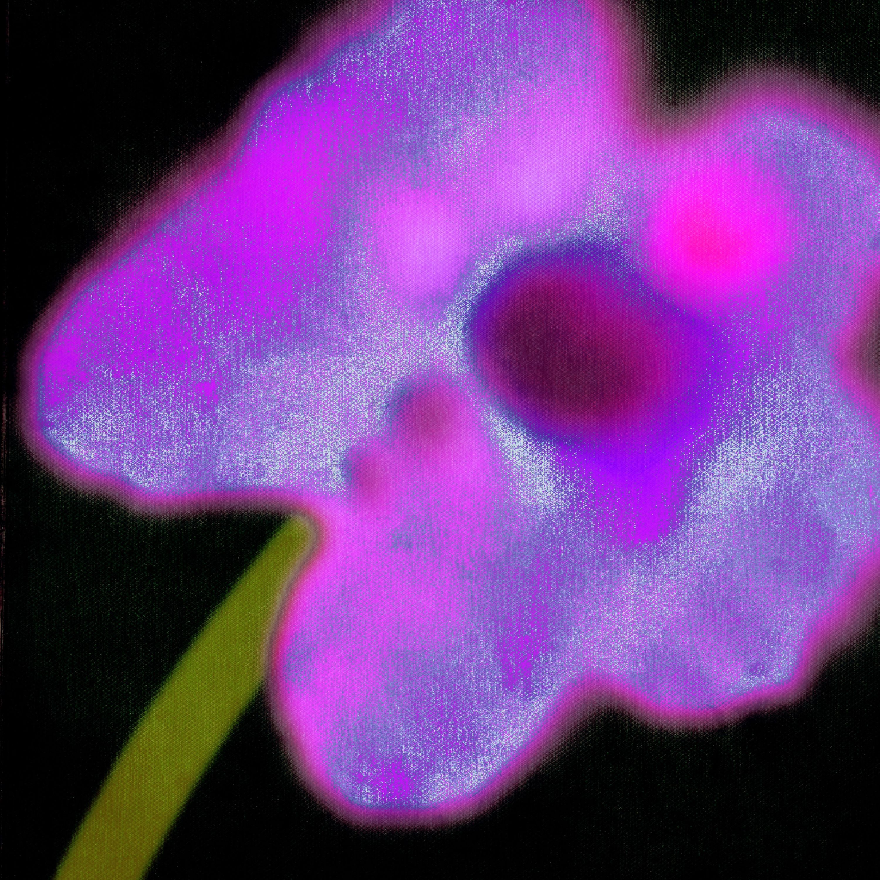 Don’t You ft. Izza Gara