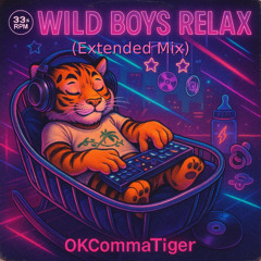 Wild Boys Relax (Extended OKcommaTiger Mix)