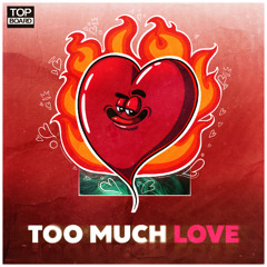 Roiko - Too Much Love