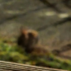 Staying Sane - The Value of n