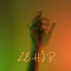 Sedef Sebüktekin  - Zehir (Cover By Özkan ŞEN)
