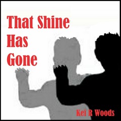 THAT SHINE HAS GONE