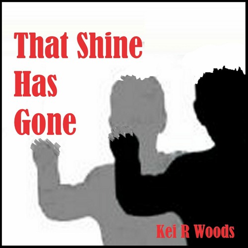 THAT SHINE HAS GONE