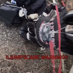 Xoxoswitch - The End