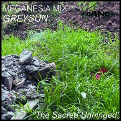 MEGANESIA Mix | Greysun pres. The Sacred Unhinged