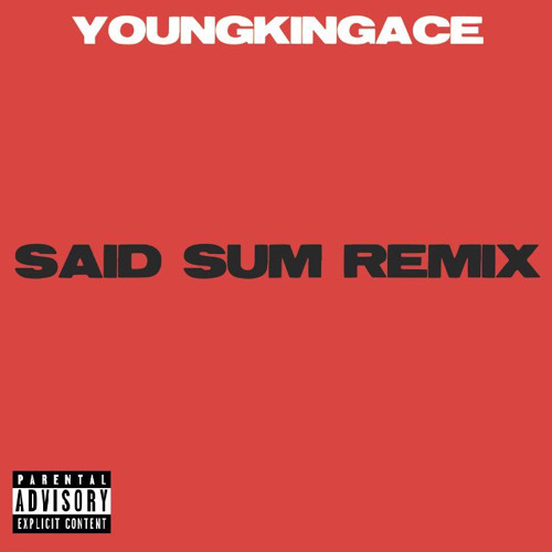 Said Sum Remix(Best)
