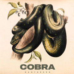 Nahthexen - Cobra