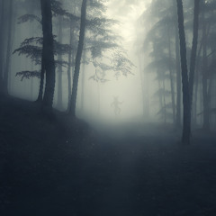 Sounds of Trails (vol. 4)