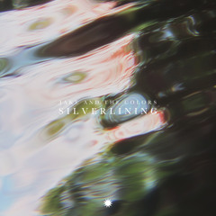 Silverlining