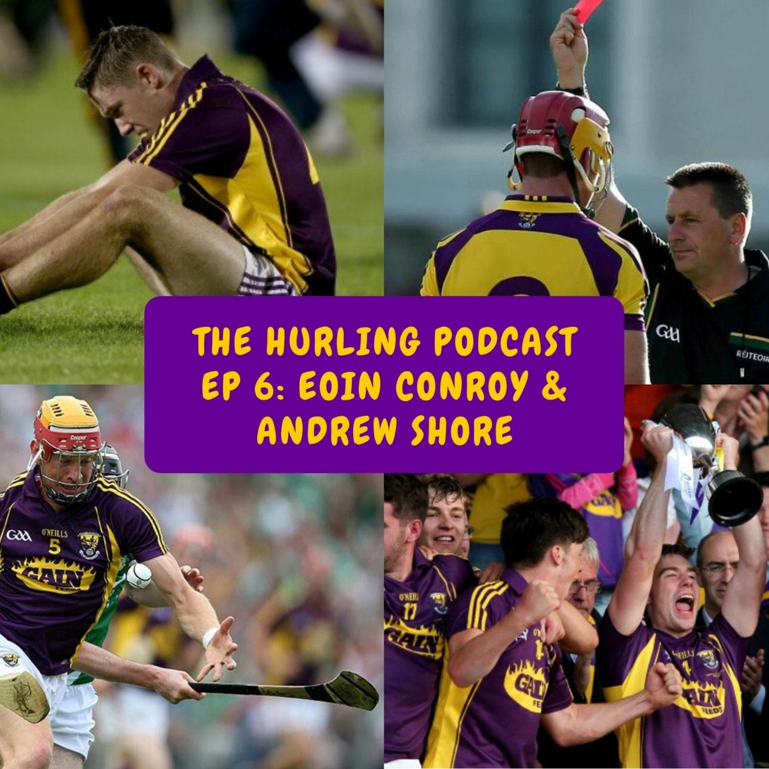 The Wexford Hurling Podcast