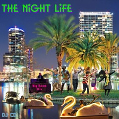 The Night Life (Instrumental)