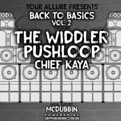 McDubbin @ Back To Basics Vol. 2 Tour