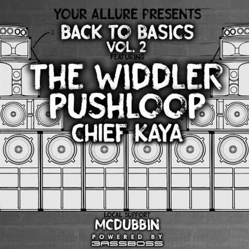 McDubbin @ Back To Basics Vol. 2 Tour