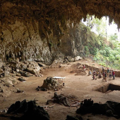 Hobbit Island