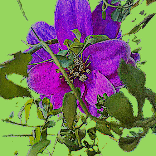 reconnecting (prod. Emerald)