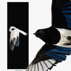 2 Birds ft EXO-EVISU, FK3000