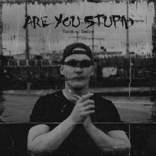 Are you stupid