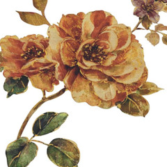 LO K SIENTO X TI U.U (maquetaa