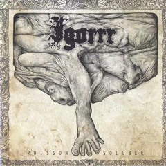 Igorrr