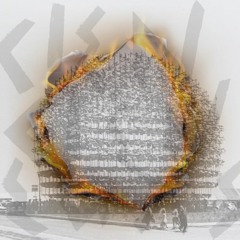 Cien Ciénegas - Flamas