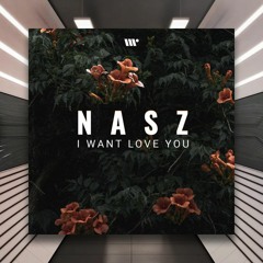 Nasz - I Want Love You [DNBB Records] PREMIERE
