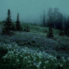 Смысл жизни (speed up)