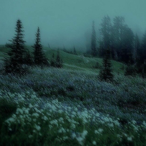 Смысл жизни (speed up)