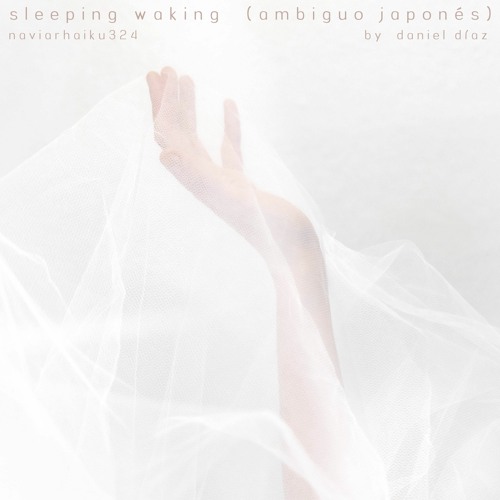 Sleeping Waking (Ambiguo Japones) naivarhaiku324