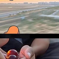 seersuckerr