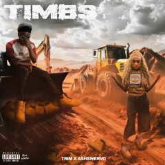 Timbs (feat. Ashswervo)