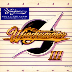 She's A Dance Machine (Mr. Turner Likes Your Style Edit) Disco Vocoder Funk Monster Free DL