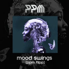 little simz - mood swings [ppm flipp]