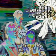 LonerP - CMBĐ ( These Is a Gang ) ft Zin,  Ridkie Chivas