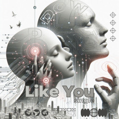 Like You (S.M. Extended Mix)