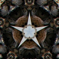 Cardiac Blues (Bodak Yellow Bootleg Techno Remix)