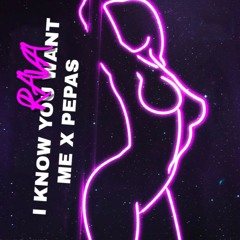 I KNOW YOU WANT ME x DANZA KUDURO RAVA MASHUP
